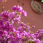 Bed & Breakfast Li Rioni *