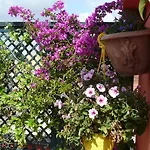 Bed & Breakfast Li Rioni Rom