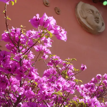 Bed & Breakfast Li Rioni *