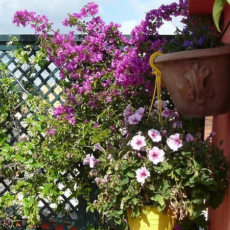 Bed & Breakfast Li Rioni Rom