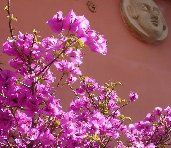 Bed & Breakfast Li Rioni *